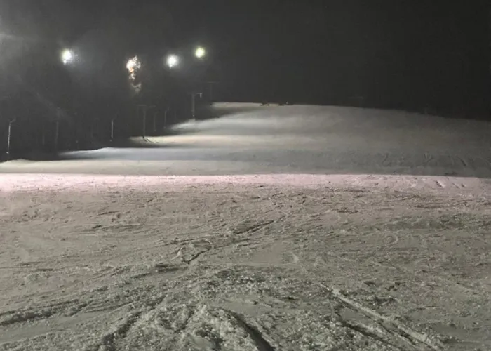 Osada Wichrowe Wzgorze בקתה *